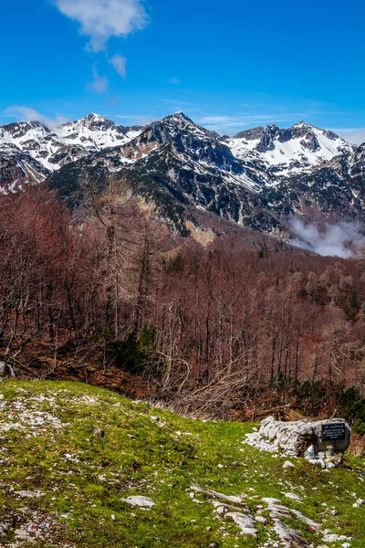 Triglavský národní park — Stock fotografie