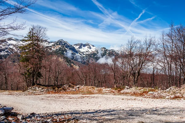 Triglavský národní park, Bohinj, Slovinsko — Stock fotografie