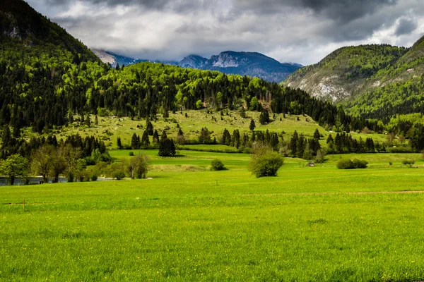Hermosa vista del Parque Nacional Triglav — Foto de Stock
