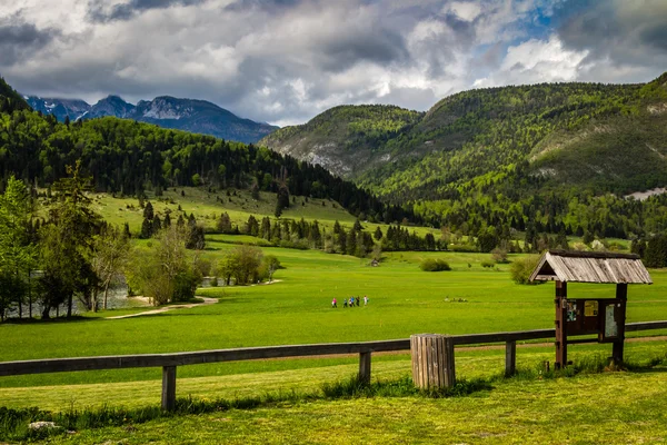 Beautiful view of Triglav National Park — Stockfoto