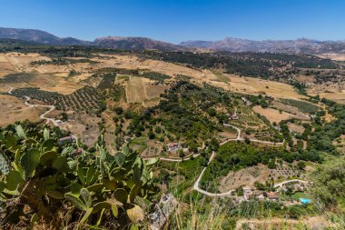 Andalusia landscape, countryside road and rock