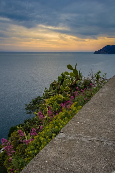 Vernazza, Cinque Terre — Stock Photo, Image