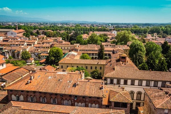 Vista sulla città italiana Lucca — Foto Stock