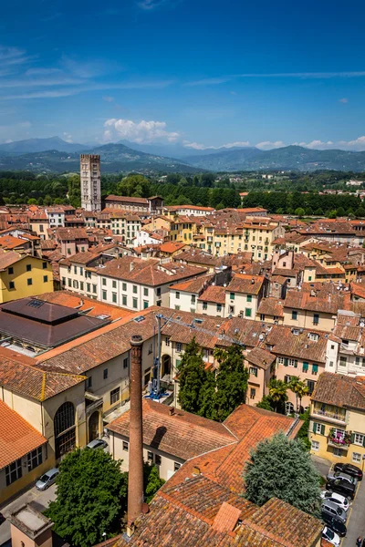 Vista de la ciudad italiana Lucca —  Fotos de Stock