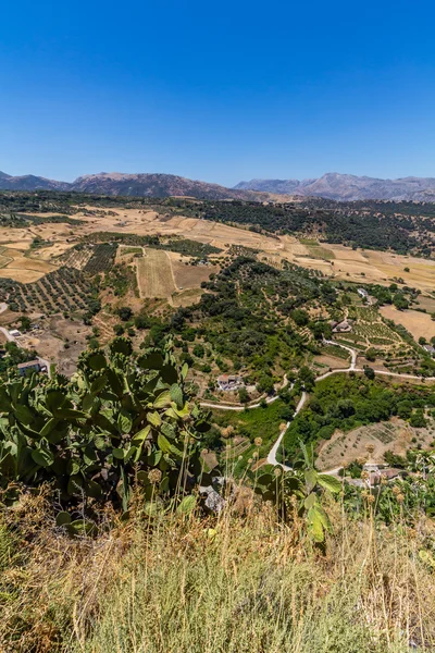 Andalucía paisaje, campo y roca — Foto de Stock