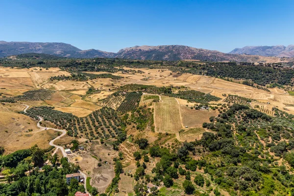 Андалусия пейзаж, сельская дорога и скала в Ронде — стоковое фото