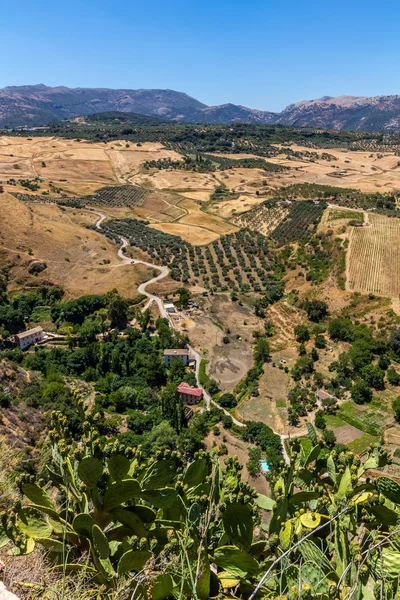 Andalucía paisaje, campo y roca — Foto de Stock