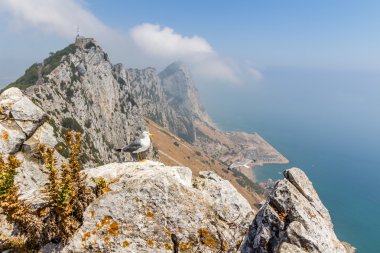 View of the sea and the city of Gibraltar