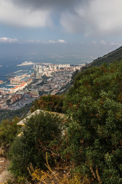 Γιβραλτάρ, επάνω στο βράχο — Φωτογραφία Αρχείου