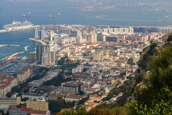 Gibraltar, sur le rocher — Photo