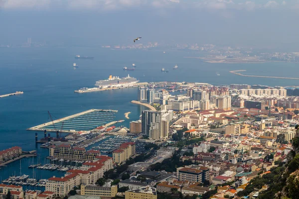 Gibraltar, nahoře na skále — Stock fotografie