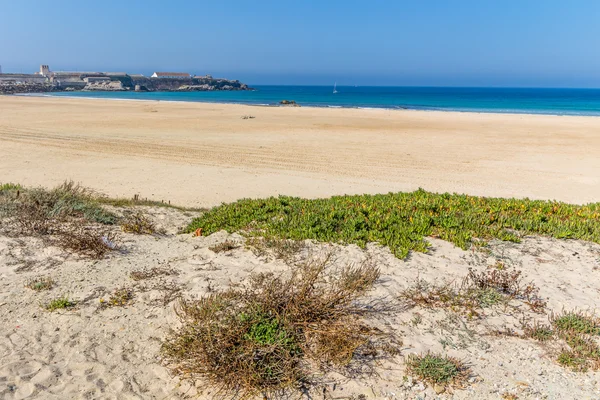 Tarifa beach on the ocean — Stock Photo, Image
