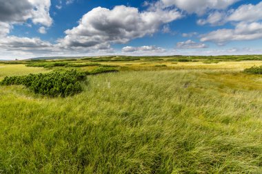 Çim alan ve güzel bulutlar ile manzara