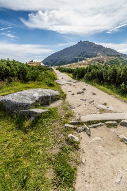 Dağ yolu milli parkta Krkonose