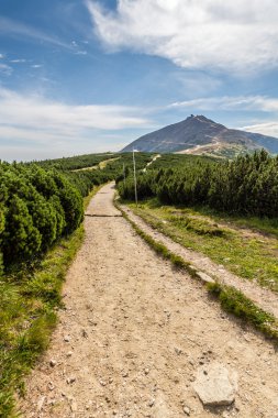 Dağ yolu milli parkta Krkonose