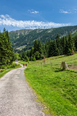 Dağ yolu milli parkta Krkonose
