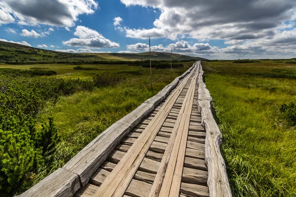 Passerella in legno nel parco nazionale Krkonose — Foto Stock