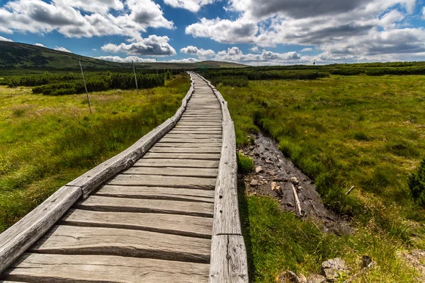 Wooden walkway in the national park Krkonose — Stock Photo, Image