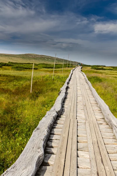 Passerelle en bois dans le parc national Krkonose — Photo