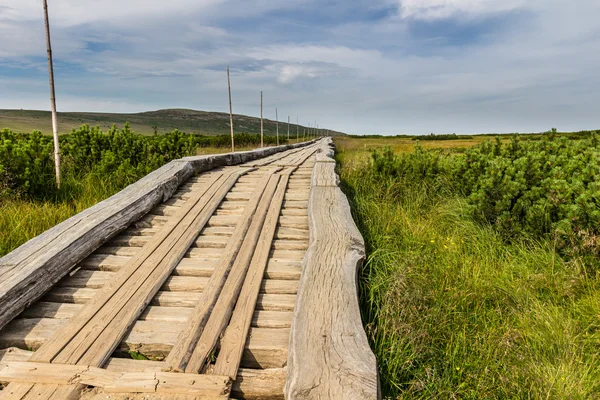 クルコノシェ国立公園に木製の通路 — ストック写真