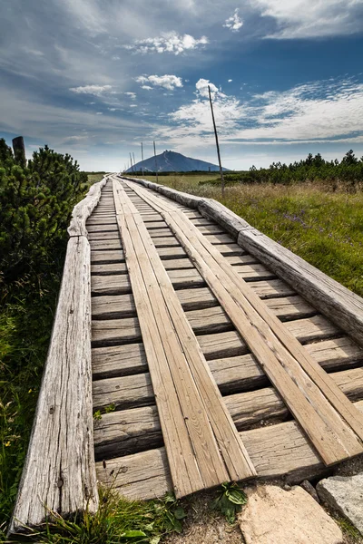 Passarela de madeira no parque nacional Krkonose — Fotografia de Stock