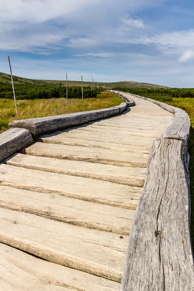 Passerelle en bois dans le parc national Krkonose — Photo