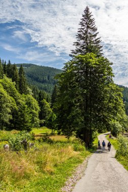 Milli Parkı Krkonose