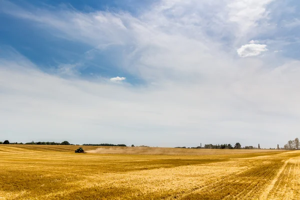 领域的割的小麦和明亮的蓝色天空 — 图库照片