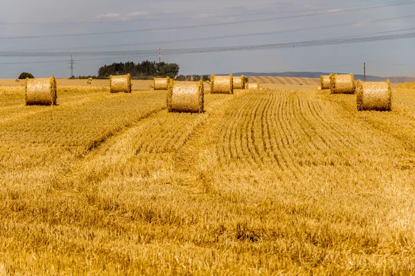 Beautiful landscape with straw bales