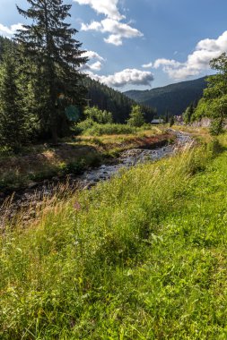 Milli Parkı Krkonose