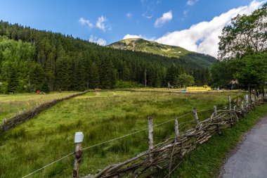 Milli Parkı Krkonose