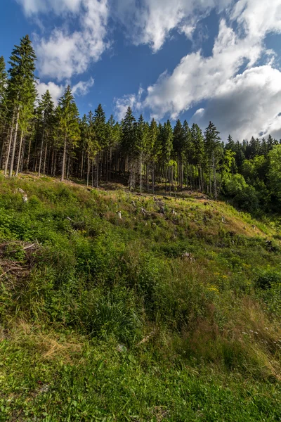 Krkonošský národní park — Stock fotografie