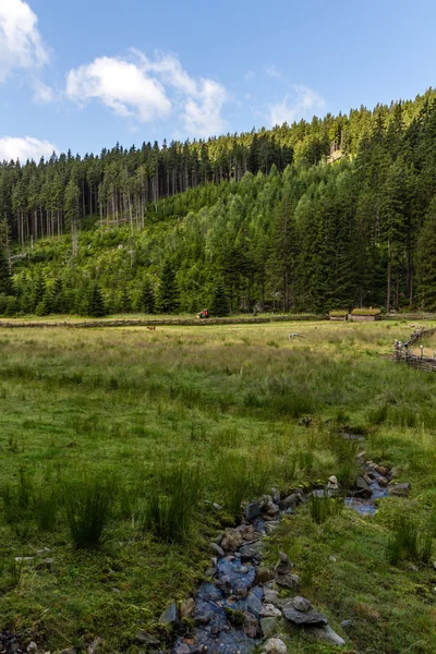 Parque Nacional Krkonose — Foto de Stock