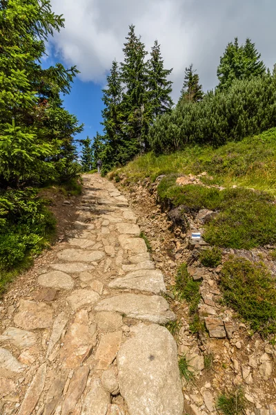 Sentiero di montagna nel parco nazionale Krkonose — Foto Stock