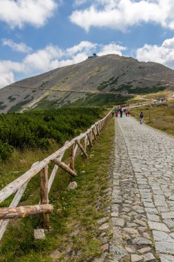 Alpler, Avusturya - dağ yolu