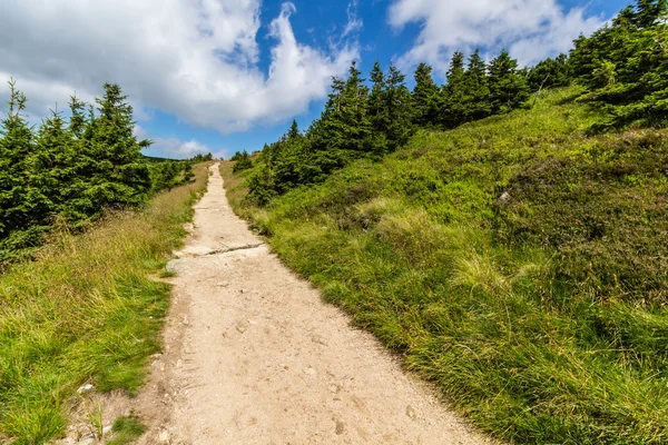 Caminho de montanha no parque nacional Krkonose — Fotografia de Stock