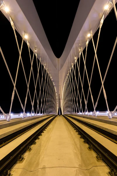 Nacht uitzicht op de brug Troja — Stockfoto