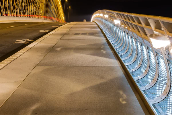 Vue de nuit du pont de Troja — Photo