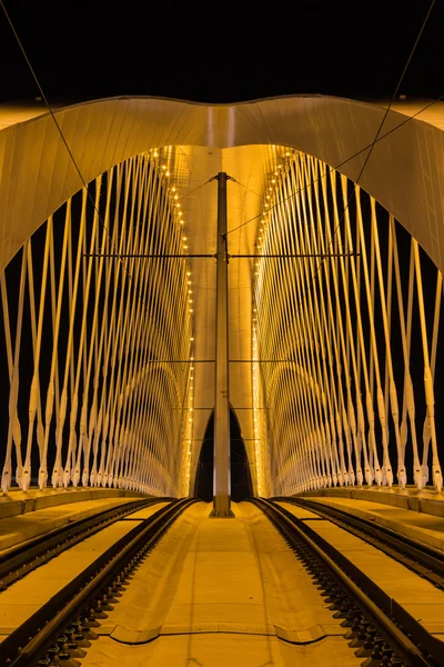 Ночной вид на Тройский мост — стоковое фото
