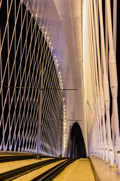 Nacht uitzicht op de brug Troja — Stockfoto