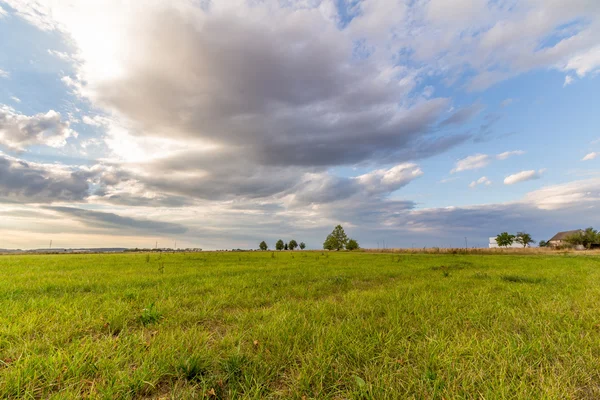 Coucher de soleil spectaculaire sur le champ vert — Photo