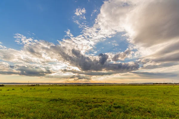 Coucher de soleil spectaculaire sur le champ vert — Photo