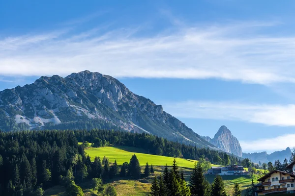 Landschap van bergen, groene veld, hemel, bos — Stockfoto