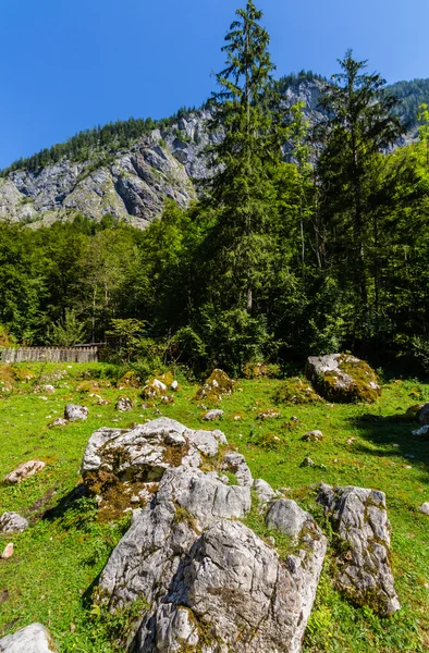 Konigsee National Park — Stock fotografie