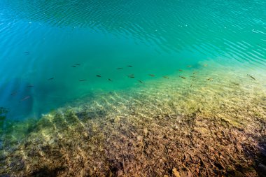 Virgin nature of Plitvice lakes national park