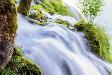 Plitvice Ulusal Parkı 'ndaki Şelaleler