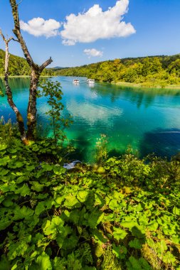 Bakir doğası Plitvice lakees Milli Parkı, Hırvatistan
