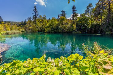 Bakir doğası Plitvice lakees Milli Parkı