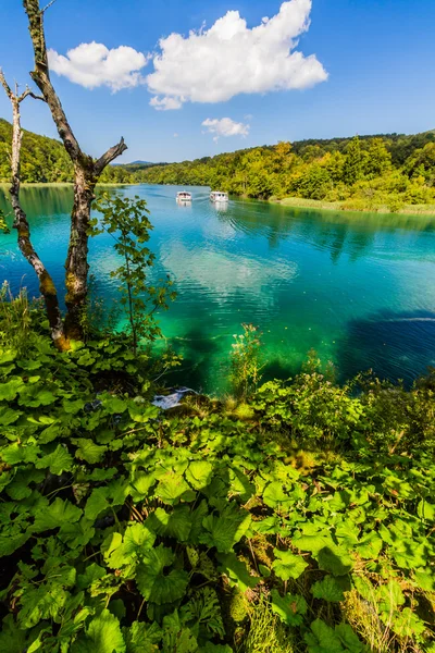 Naturaleza virgen del parque nacional de los lagos de Plitvice, Croacia — Foto de Stock