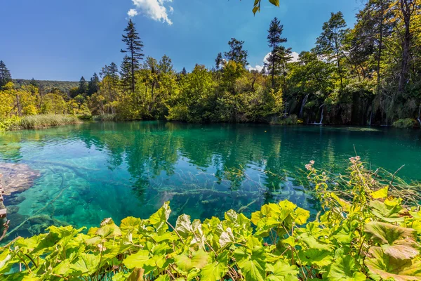 Naturaleza virgen del parque nacional de los lagos de Plitvice — Foto de Stock